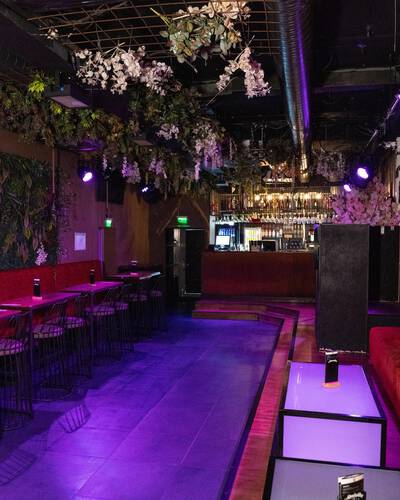 NELSONS - Galeriebild