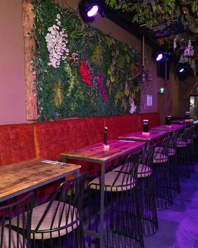 NELSONS - Galeriebild